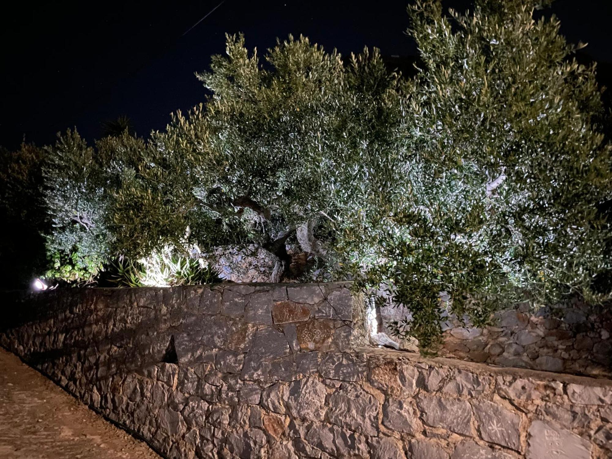 Πύργος Παραδοσιακός Με Μαγευτική Θέα - Villa Traditional Tower With Amazing Sea View Areopoli Exterior foto